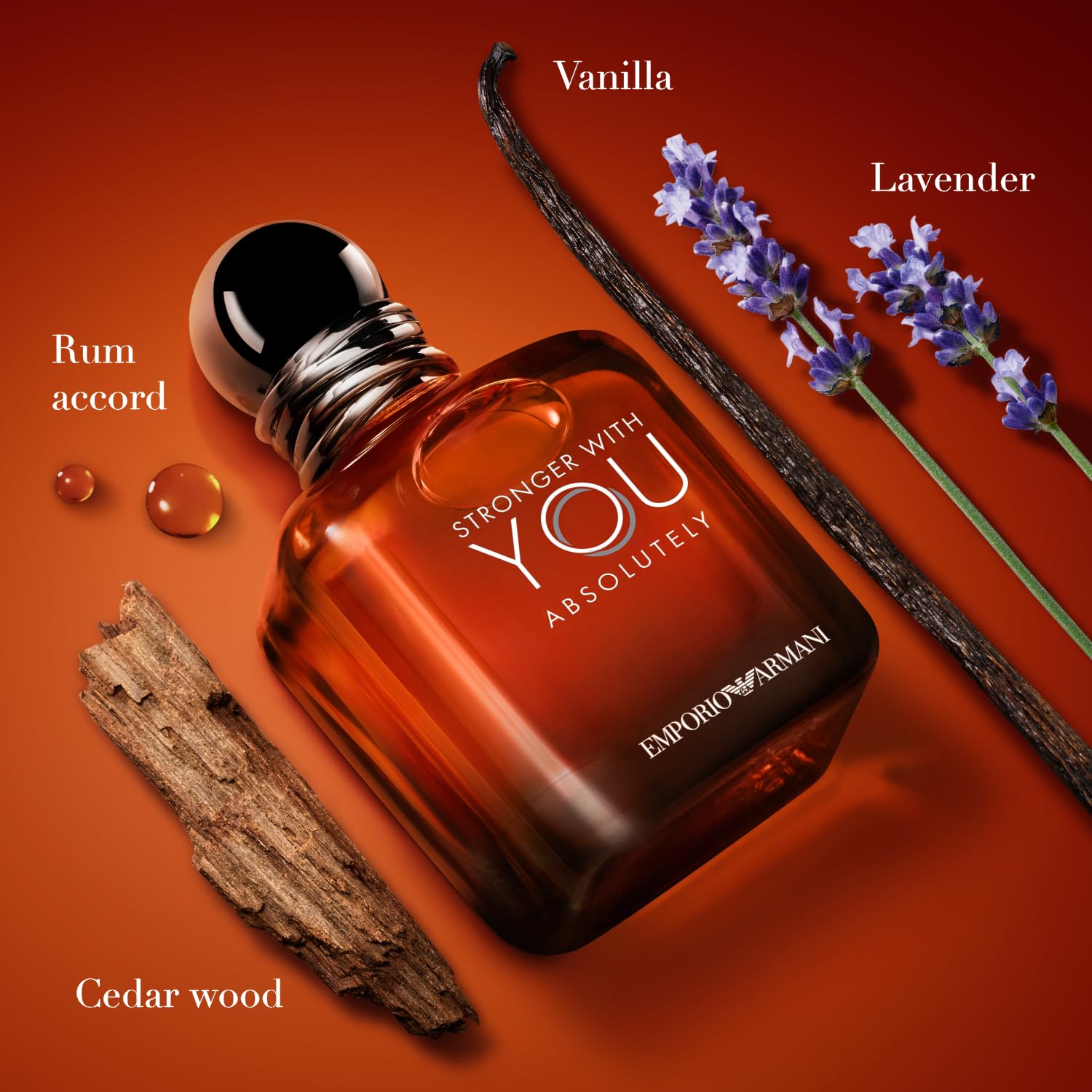 Stronger With You Absolutely